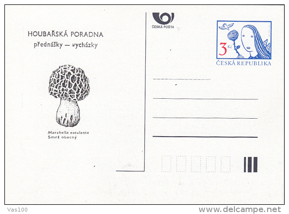 MUSHROOMS, PC STATIONERY, ENTIER POSTAUX, 1996, CZECH REPUBLIC - Champignons