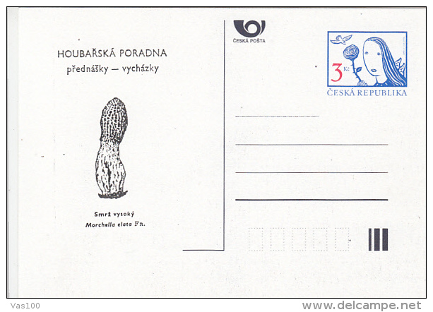 MUSHROOMS, PC STATIONERY, ENTIER POSTAUX, 1996, CZECH REPUBLIC - Champignons