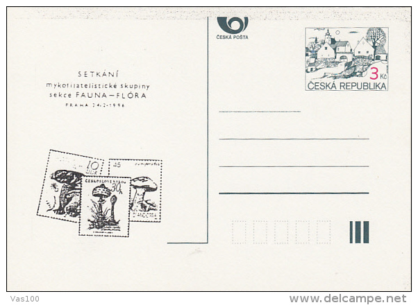 MUSHROOMS, PC STATIONERY, ENTIER POSTAUX, 1996, CZECH REPUBLIC - Champignons