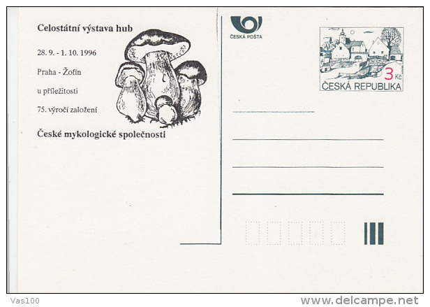 MUSHROOMS, PC STATIONERY, ENTIER POSTAUX, 1996, CZECH REPUBLIC - Champignons