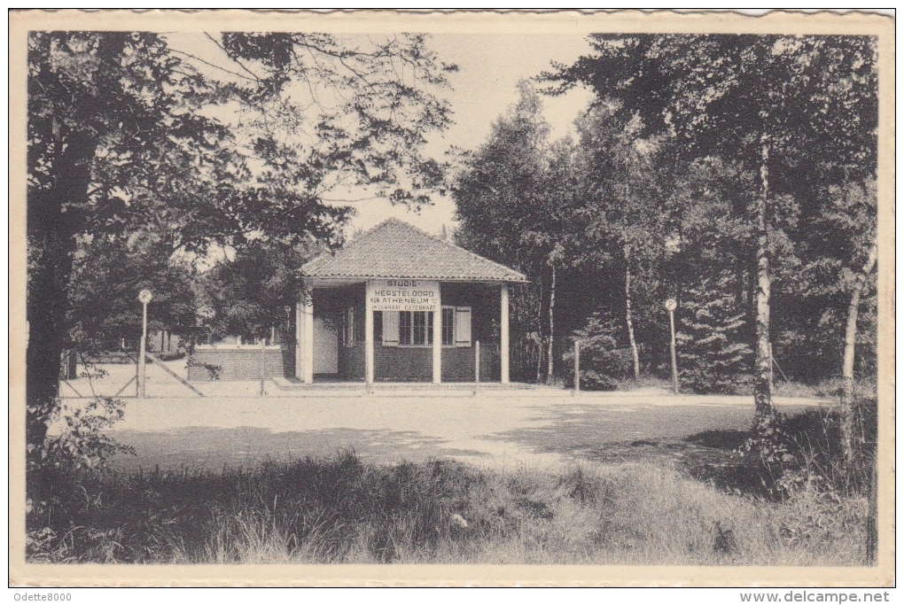 Keerbergen     Koninklijk Atheneum          Nr 1984 - Keerbergen