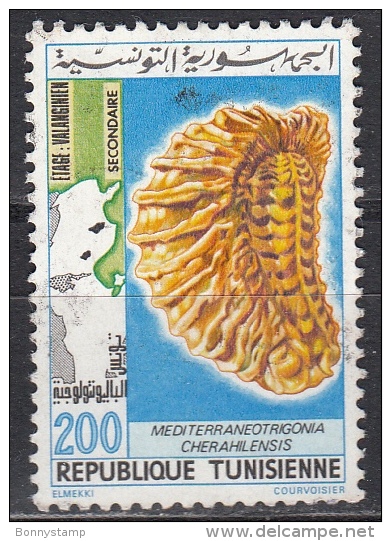 Tunisia, 1982 - 200m Tunisian Fossils - Nr.809B Usato° - Tunesien (1956-...)