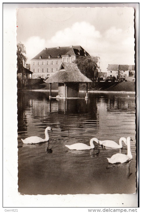 5170 JÜLICH, Schwanenteich, 1960 - Jülich