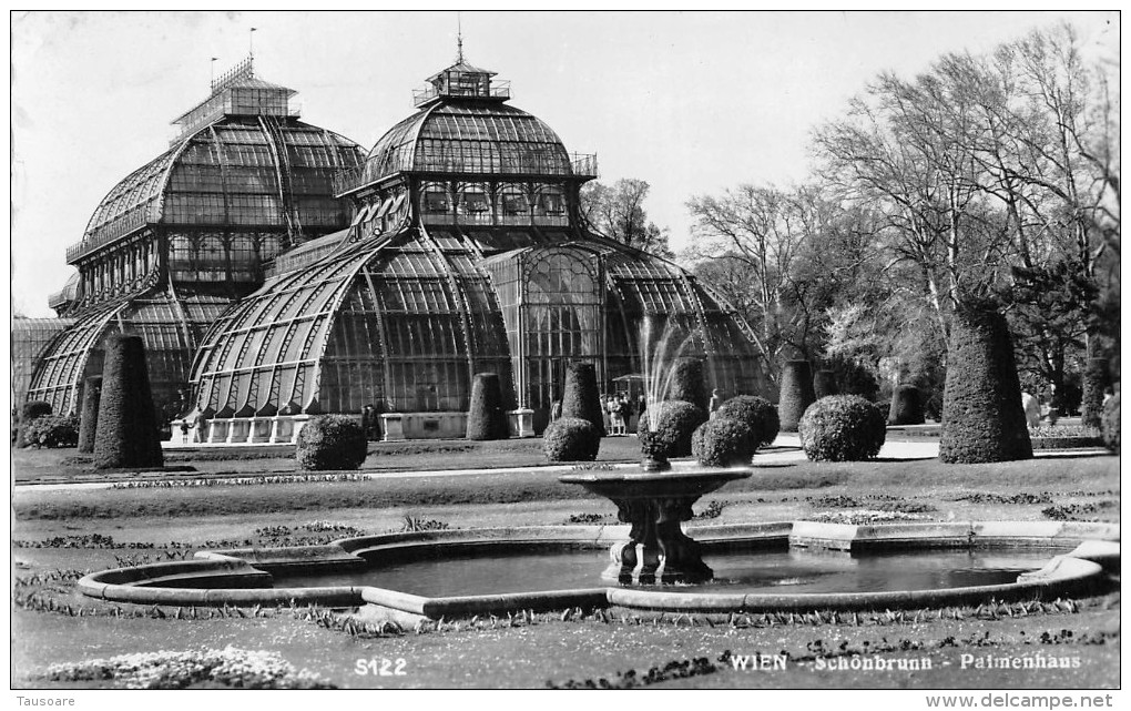 N8946 Austria Wien Schombrun Palmenhaus - Château De Schönbrunn