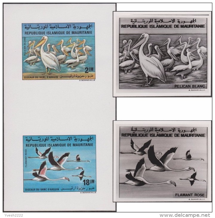 Mauritanie 1982 Y&T 504/5. Épreuves-photos Et Essai Offset. Oiseaux Du Banc D'Arquin. Pélicans Blancs Et Flamants Roses - Pélicans