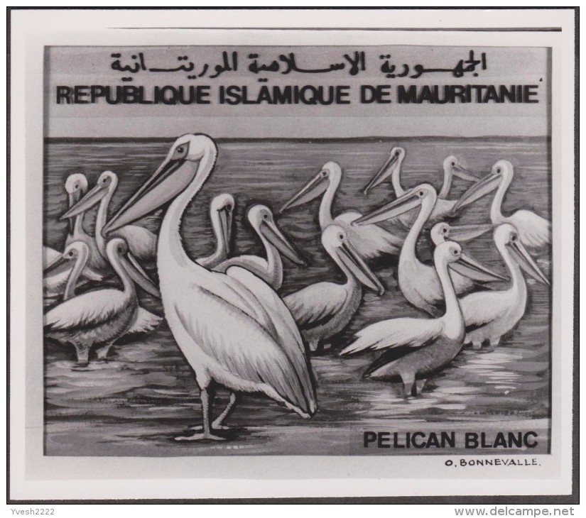 Mauritanie 1982 Y&T 504/5. Épreuves-photos Et Essai Offset. Oiseaux Du Banc D'Arquin. Pélicans Blancs Et Flamants Roses - Pelicans