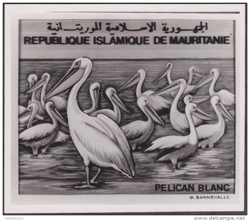 Mauritanie 1982 Y&T 504/5. Épreuves-photos Et Essai Offset. Oiseaux Du Banc D'Arquin. Pélicans Blancs Et Flamants Roses - Pélicans