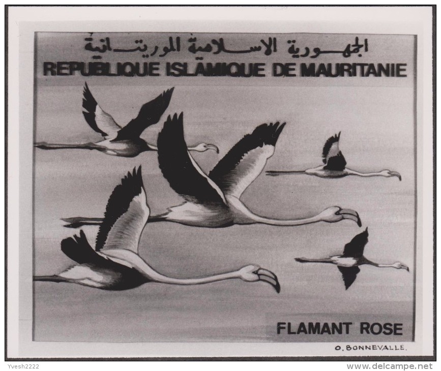 Mauritanie 1982 Y&T 504/5. Épreuves-photos Et Essai Offset. Oiseaux Du Banc D'Arquin. Pélicans Blancs Et Flamants Roses - Pelicans