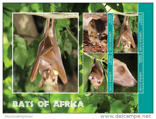 Liberia-2014-Fauna-Bats Of Africa - Liberia