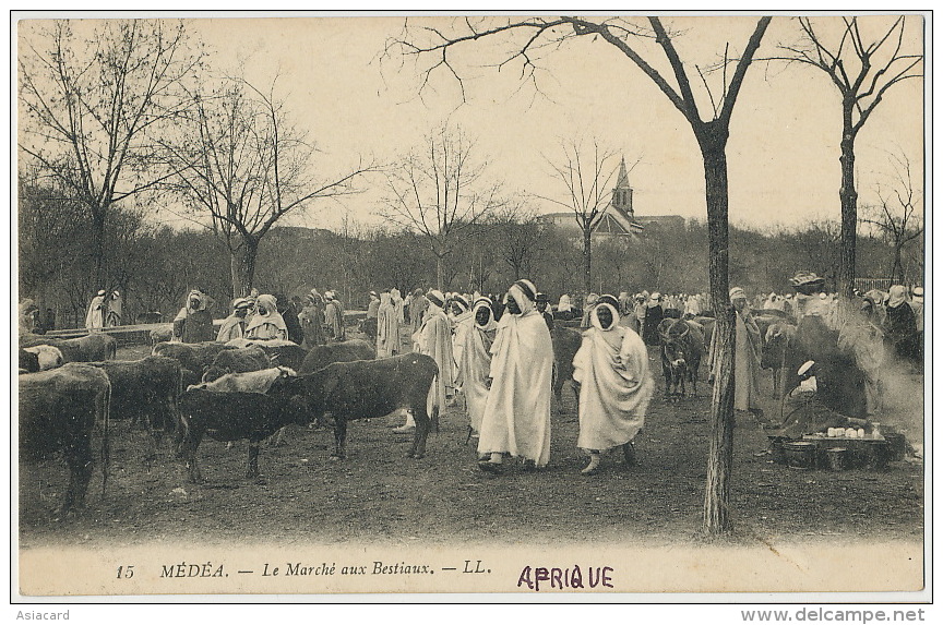 15 Medea Le Marché Aux Bestiaux Cattle Market LL - Médéa
