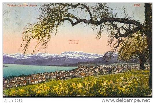 Litho Thalwil Und Glärnisch Im Frühjahr Häuser 14.2.1917 - Thalwil