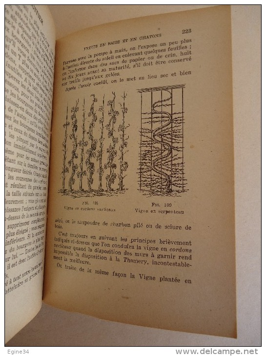 Editions Taride -Ph. Desmoulins -Ed. Delorme - Guide Pratique Du Jardinier Français Ou Traité D'Horticulture - Garten