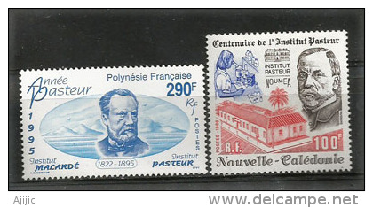 NOUVELLE-CALEDONIE. Année Pasteur, Institut Pasteur.  2 T-p Neufs ** - Louis Pasteur