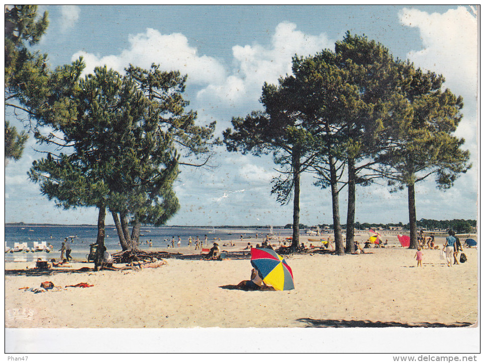 MAUBUISSON (33-Gironde), La Plage Au Bord Du Lac, Parasol, Ed. Iris Théojac - Other & Unclassified