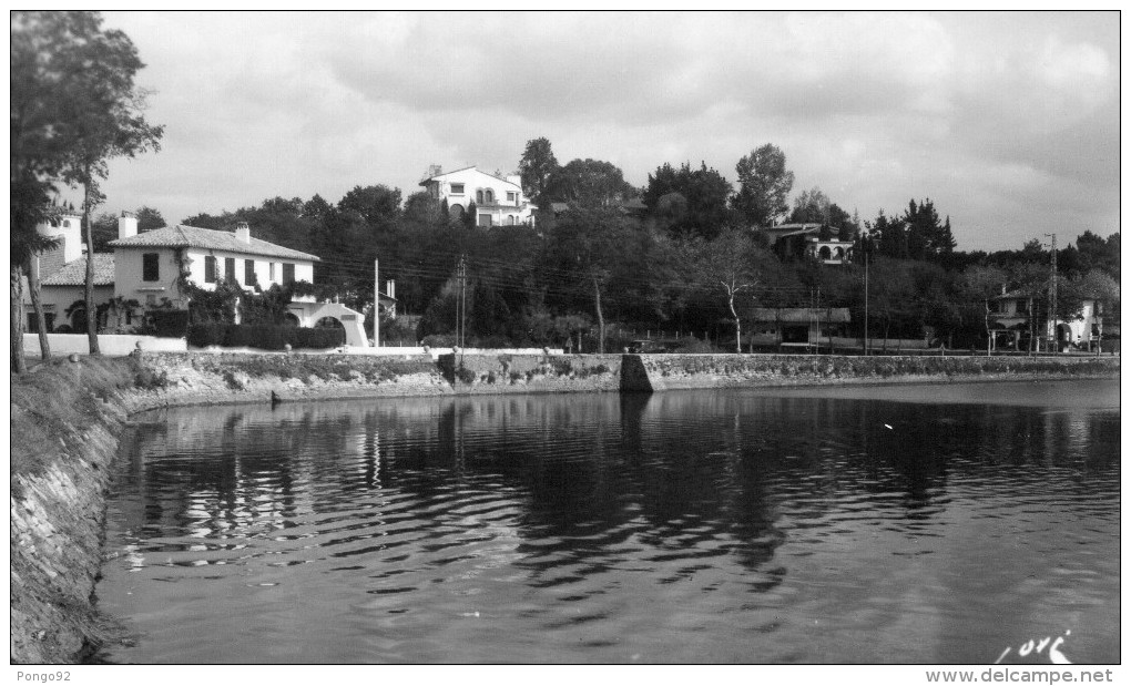 Cpsm  ST JEAN DE LUZ, La Nivelle à Chantaco (38.27) - Saint Jean De Luz