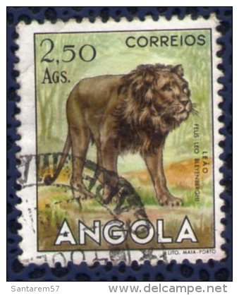 Angola 1953 Oblitéré Rond Used Animaux Sauvages Lion Leão - Angola