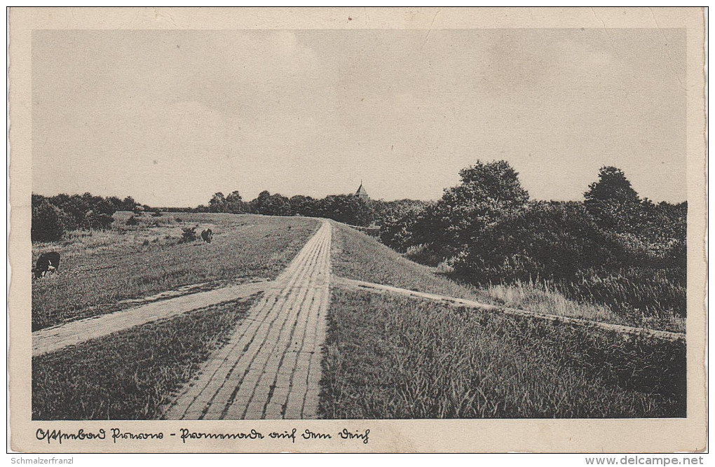 AK Ostseebad Prerow Promenade Auf Dem Deich ? Kirche Fischland Darss Bei Zingst Barth Rostock - Fischland/Darss