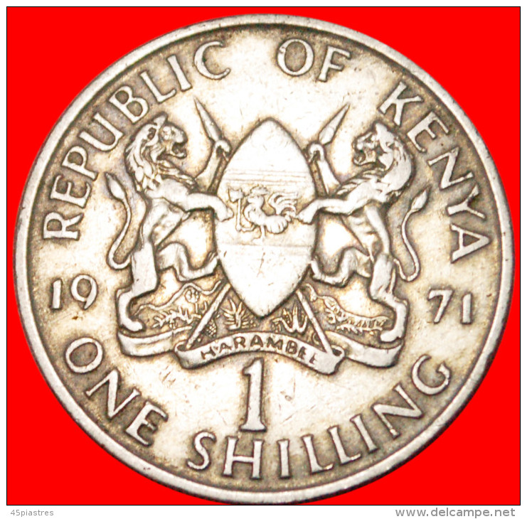 * WITH LEGEND KENYA 1 SHILLING 1971! ! LOW STARTNO RESERVE! - Kenya