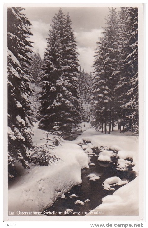 AK Im Osterzgebirge - Schellermühlenweg Im Winter (Altenberg) (13582) - Altenberg