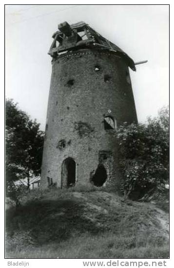 OEVEL Bij Geel (Antw.) - Molen/moulin - Historische Opname Van De Stenen Molen In 1980 Met Oorlogsschade. - Geel