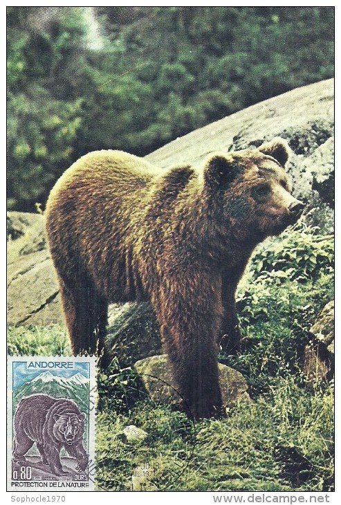 ANDORRE LA VIEILLE - 1971 - Protection De La Nature  - L'ours - Maximumkarten (MC)