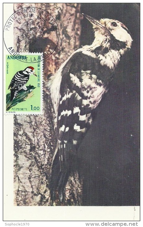 ANDORRE LA VIEILLE - 1973 - Protection De La Nature - Pic épeichette - Maximum Cards
