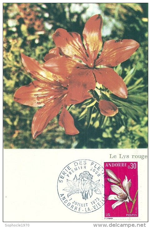 ANDORRE LA VIEILLE - 1973 -Fleurs Des Champs- Le Lys Rouge - Maximumkarten (MC)