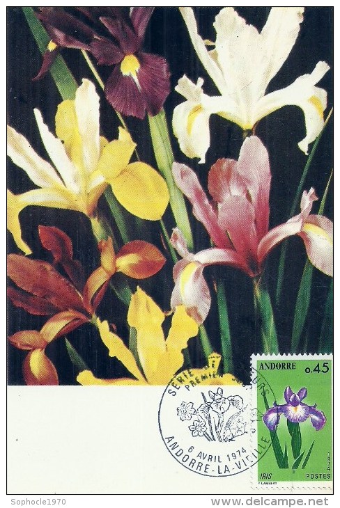 ANDORRE LA VIEILLE - 1974 - Bouquet D'Iris - Maximum Cards