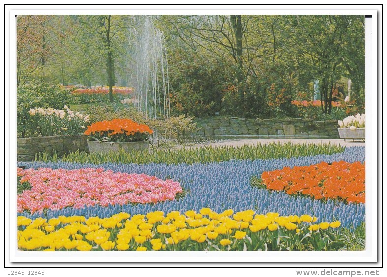 Lisse, Keukenhof - Lisse