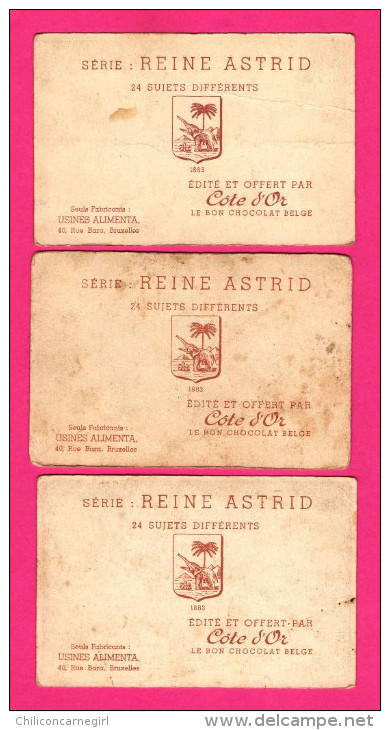 11 Chromos CÔTE D'OR - La Reine Astrid - Différentes Inaugurations et Congrès - Centenaire Institut Agronome 1935