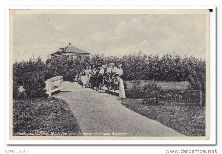 Hoek Van Holland, Bruggetje Over De Vijver Hoeksche Boschjes - Hoek Van Holland