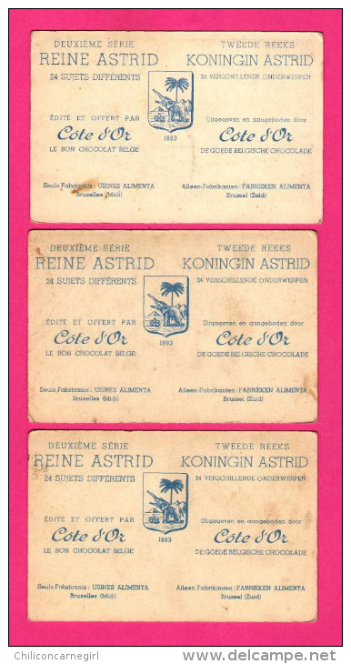 19 Chromos CÔTE D'OR - La Reine Astrid 1935 - Polyclinique - Noordwyck - Exposition - Institut Dentaire