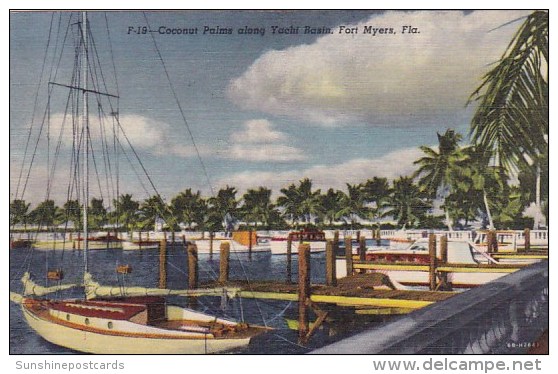 Coconut Palms Along Yacht Basin Fort Myers Florida 1955 - Fort Myers