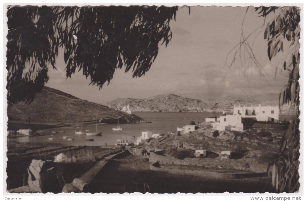 Carte Photo,grèce,greece,grecia,IOS,ILE,LES CYCLADES,MER EGEE,CHORA,1939 - Greece