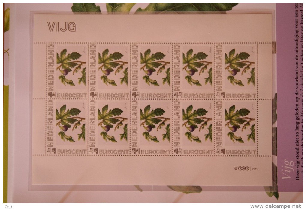 Janneke Brinkman Bloemen : VIJG   Flowers Blumen Fleurs Floral  POSTFRIS / MNH NEDERLAND / NIEDERLANDE - Neufs