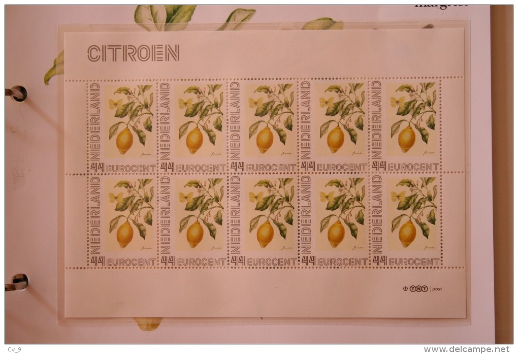 Janneke Brinkman Bloemen : CITROEN   Flowers Blumen Fleurs Floral  POSTFRIS / MNH NEDERLAND / NIEDERLANDE - Unused Stamps