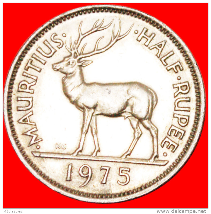 * STAG MAURITIUS  1/2 RUPEE 1975! ELIZABETH II (1953-2022) LOW START NO RESERVE! - Maurice