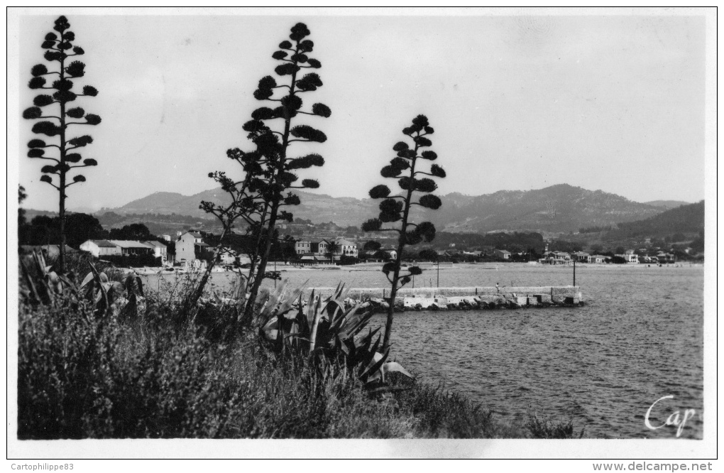 VAR 83 SAINT CYR LES LECQUES LA PLAGE - Saint-Cyr-sur-Mer