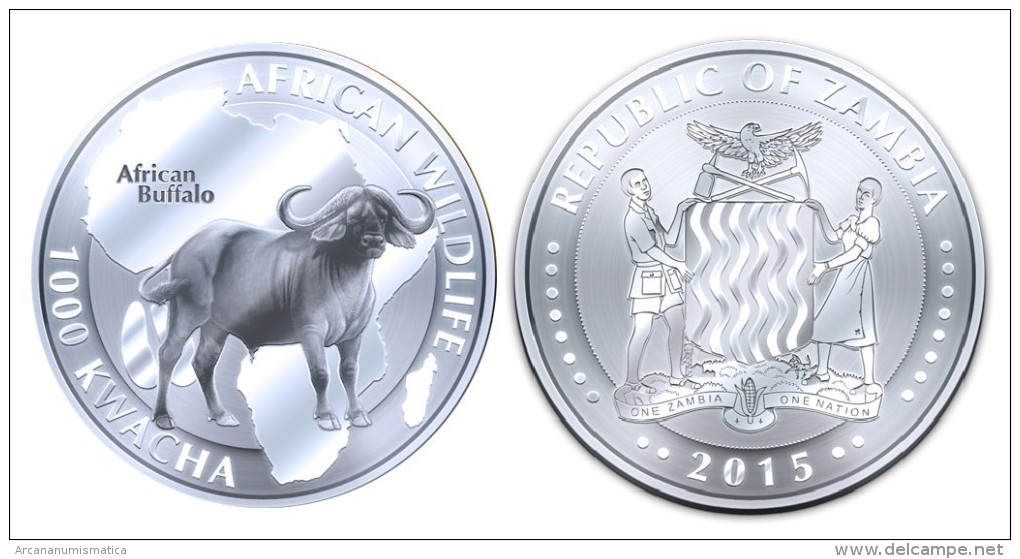 ZAMBIA  1.000  KWACHA    2.015  2015   "BUFFALO"  PLATA / SILVER   SC/UNC   T-DL-11.273 - Zambia