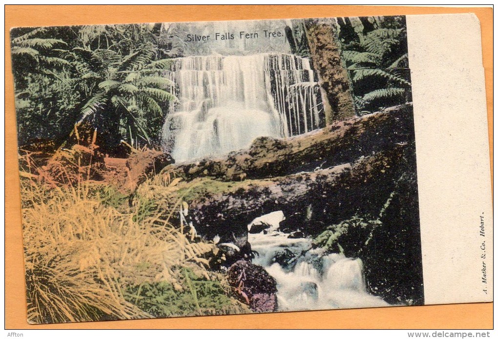 Silver Falls 1905 Postcard - Autres & Non Classés