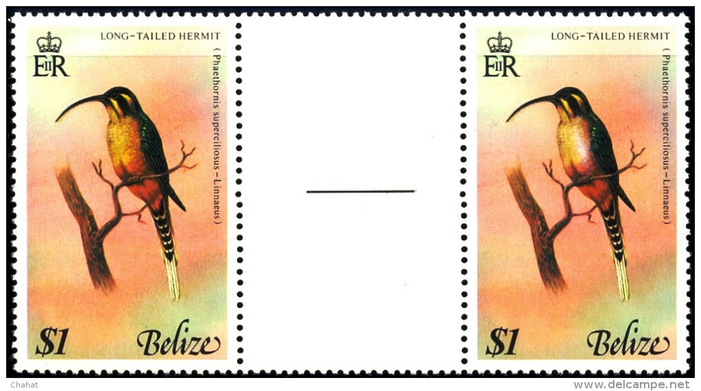 A6-367-BIRDS-LONG TAILED HERMIT- BELIZE-1967- GUTTER PAIR-MNH - Kolibries