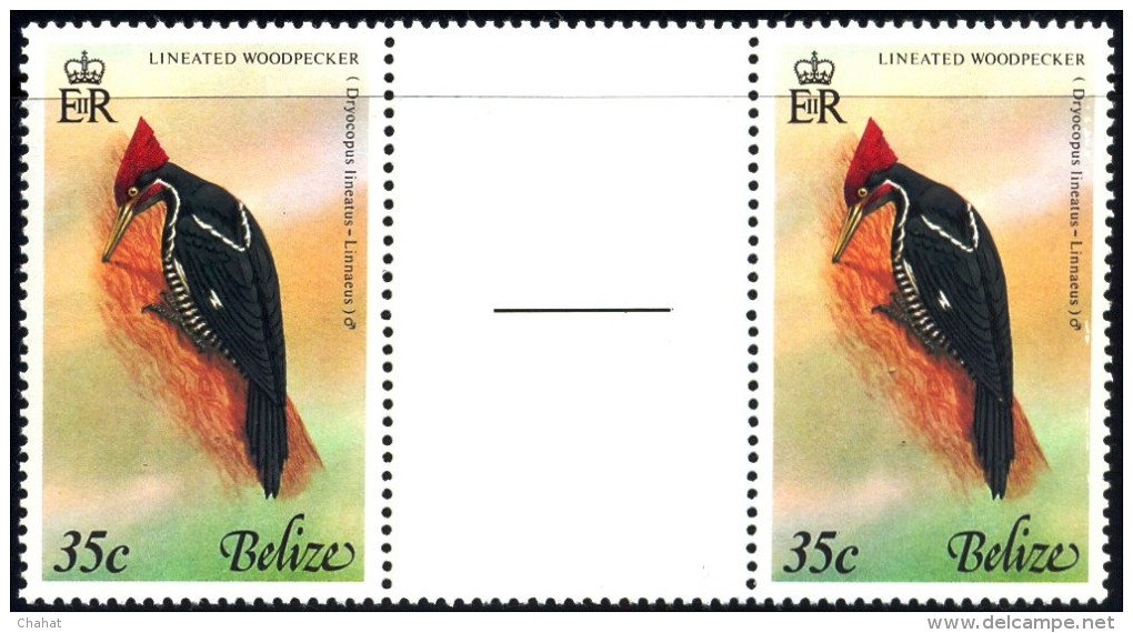 A6-367-BIRDS- LIENATED WOODPECKER- BELIZE-1967- GUTTER PAIR-MNH - Piciformes (pájaros Carpinteros)