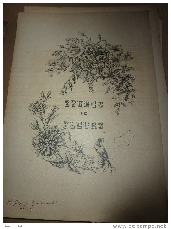 1901    ETUDES De FLEURS Dessins à La PLUME     Dont Signatures De  L. Gangneron - Estampes & Gravures