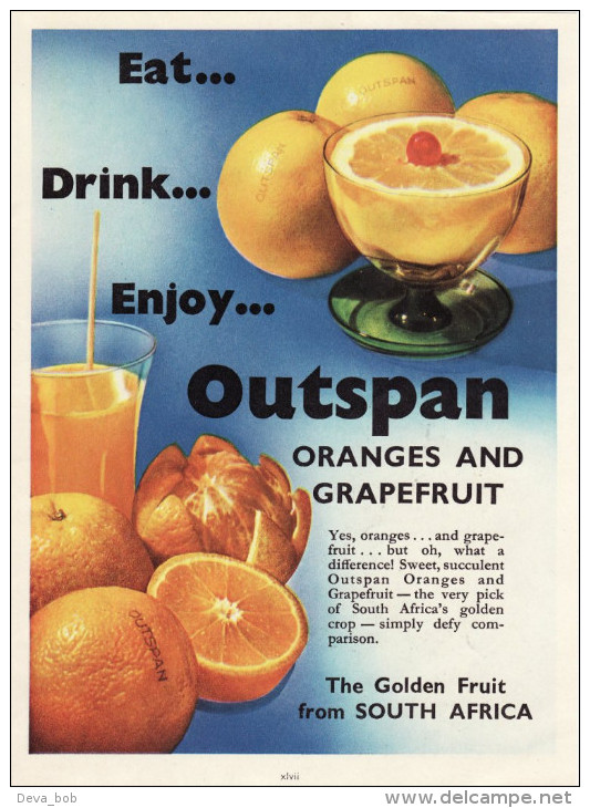 Vintage 1951 Advert Outspan Oranges & Grapefruit South Africa Eat Drink Enjoy - Publicités