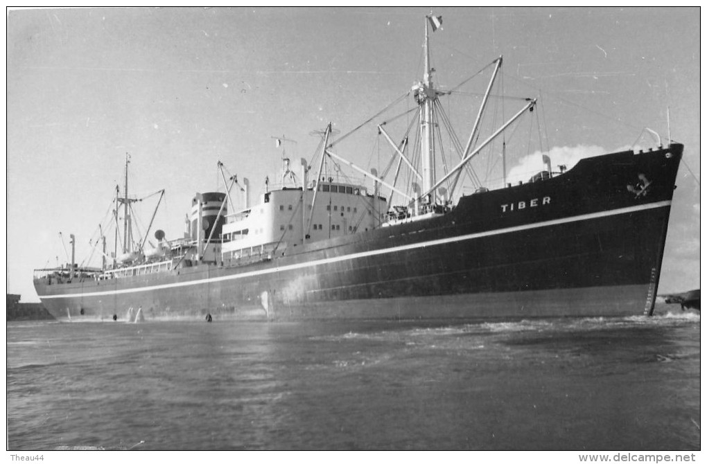 ¤¤  -  Carte-Photo D´un Bateau De Commerce "  TIBER  "     -  ¤¤ - Commerce