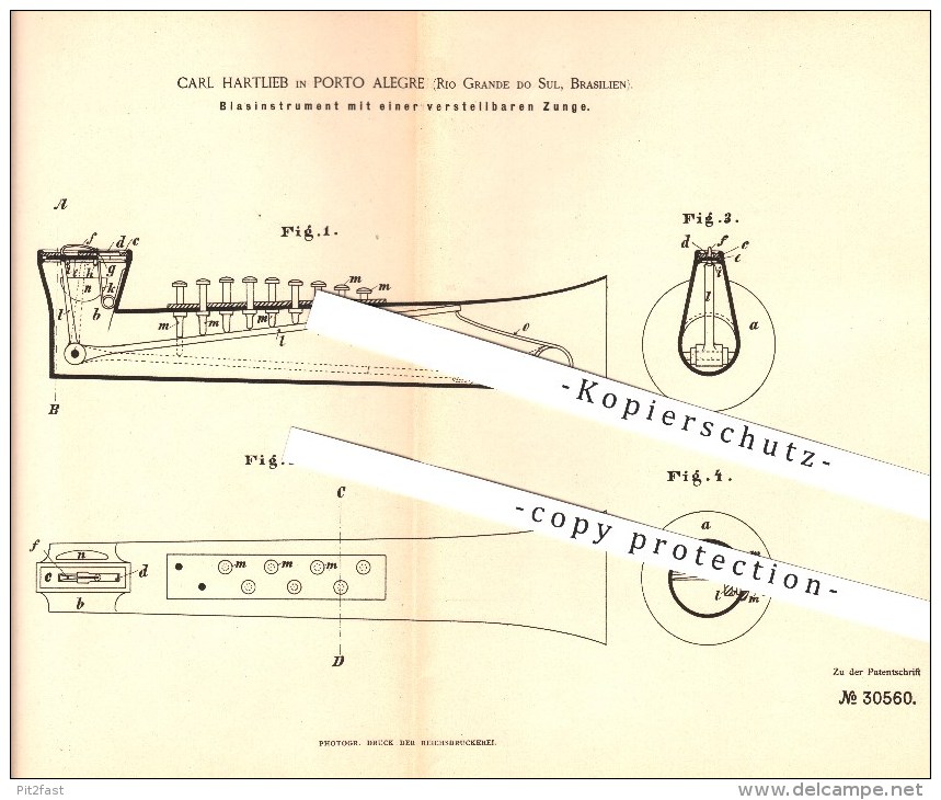 Original Pantent - Carl Hartlieb In Porto Alegre , Brasilien , 1884 , Blasinstrument Mit Zungen , Trompete , Trumpet - Musikinstrumente