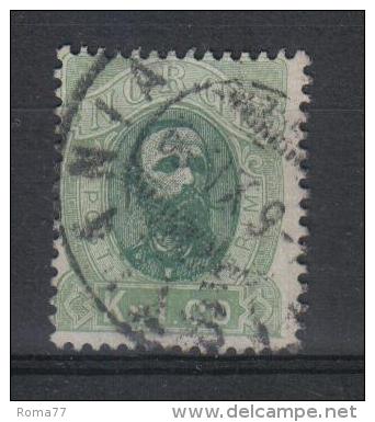 W1952 - NORVEGIA 1878, Il N. 32  Usato - Unused Stamps
