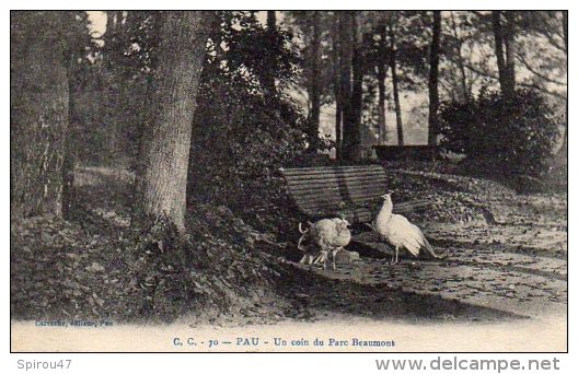 CPA PAU - UN COIN DU PARC BEAUMONT - Pau