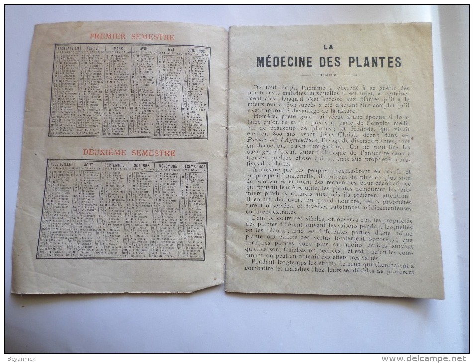 CALENDRIER DE 1903 LA MEDECINE DES PLANTES - Petit Format : 1901-20