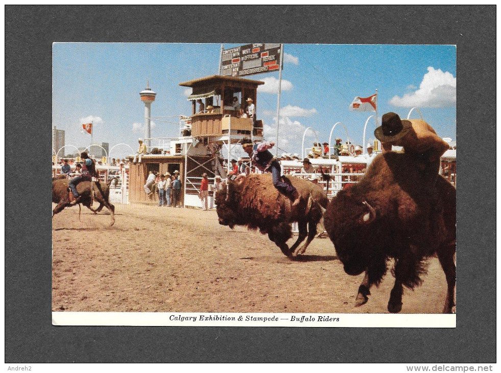 CALGARY - ALBERTA - CALGARY EXHIBITION & STAMPEDE - BUFFALO RIDERS - PHOTO BY FRED KOBSTED - Calgary